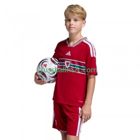 Fußballtrikots Wales Kinder Heim Trikotsatz 2026